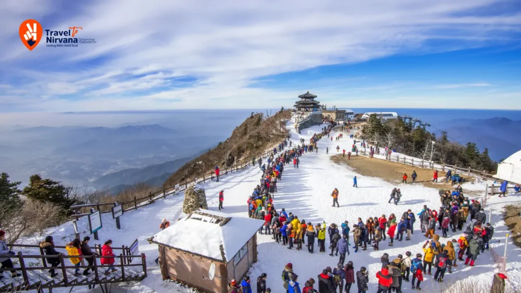 Char Dham Yatra Travel