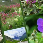Collage of Valley of Flowers showcasing colorful alpine blooms, mountain trails, and scenic landscapes in Uttarakhand