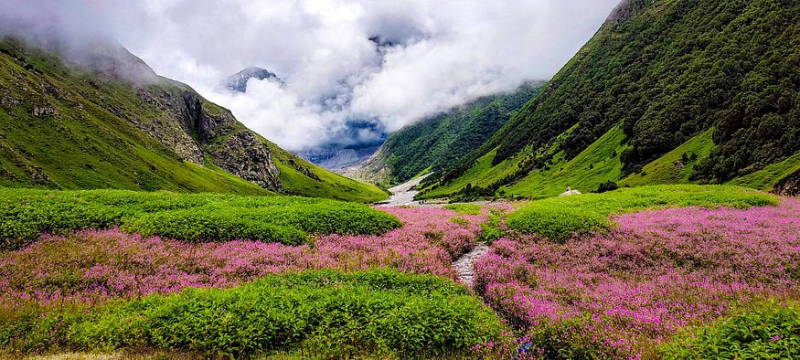 Divine Beauty of Hemkund and Valley of Flowers