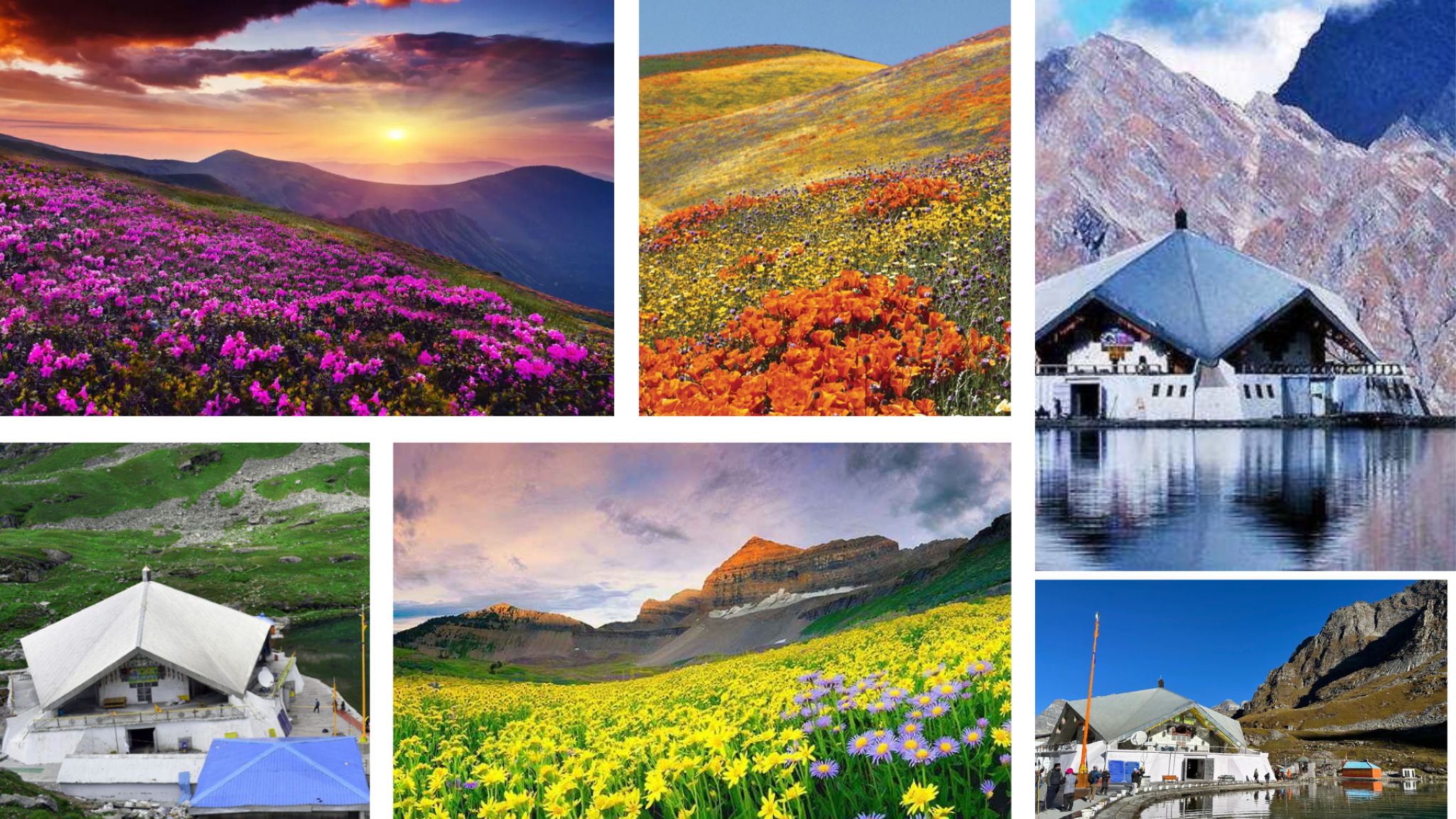 How To Plan A Trip To Valley Of Flowers And Hemkund Sahib Uttarakhand: Stunning 2026 Travel Blueprint